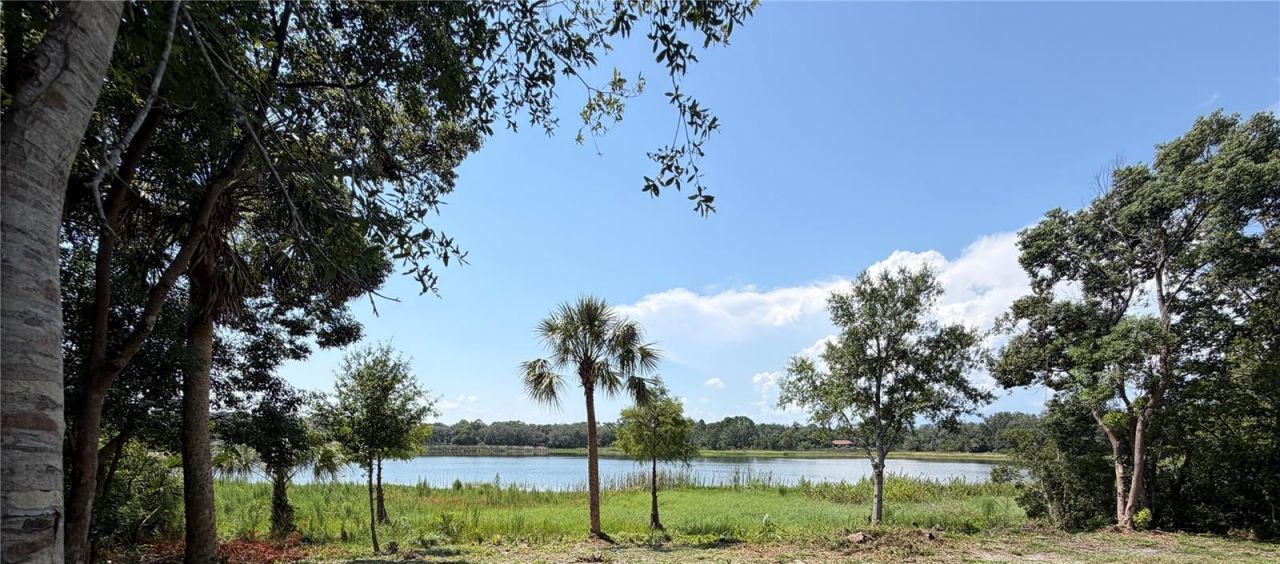 1450 Bird Road , Winter Springs, FL 32708 Photo