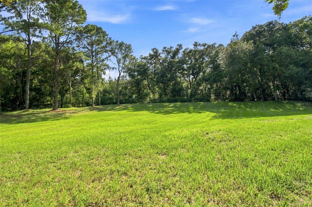 7233 Woodbrook Drive, Tampa, FL 33625 Photo