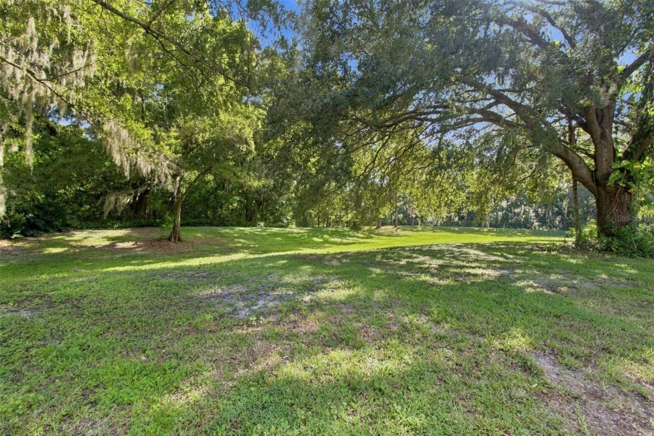 7233 Woodbrook Drive, Tampa, FL 33625 Photo