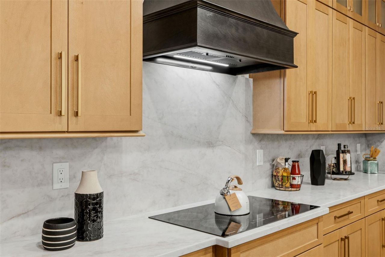 2914 W Walnut Street, Tampa, FL 33607 Photo