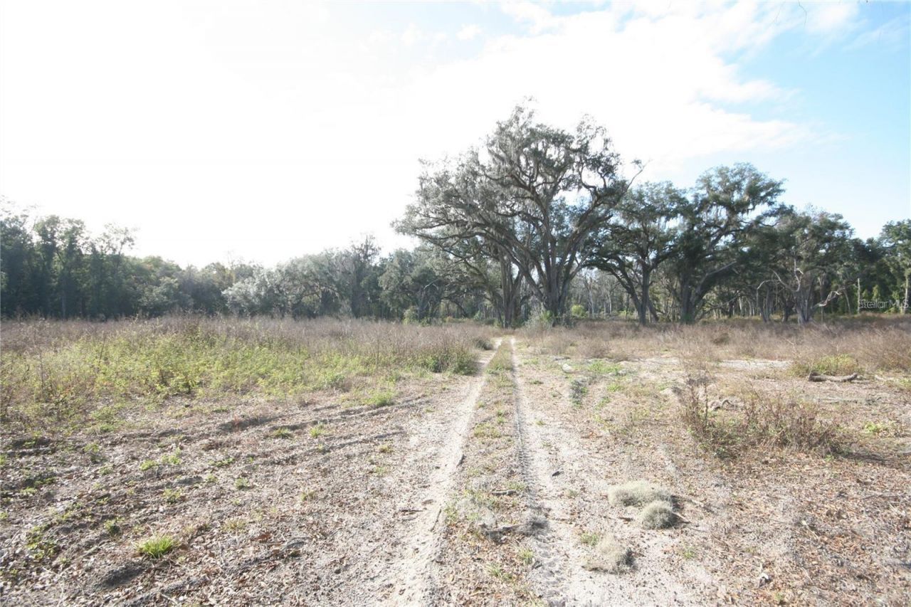 Us Hwy 301-12 Acres , Citra, FL 32113 Photo