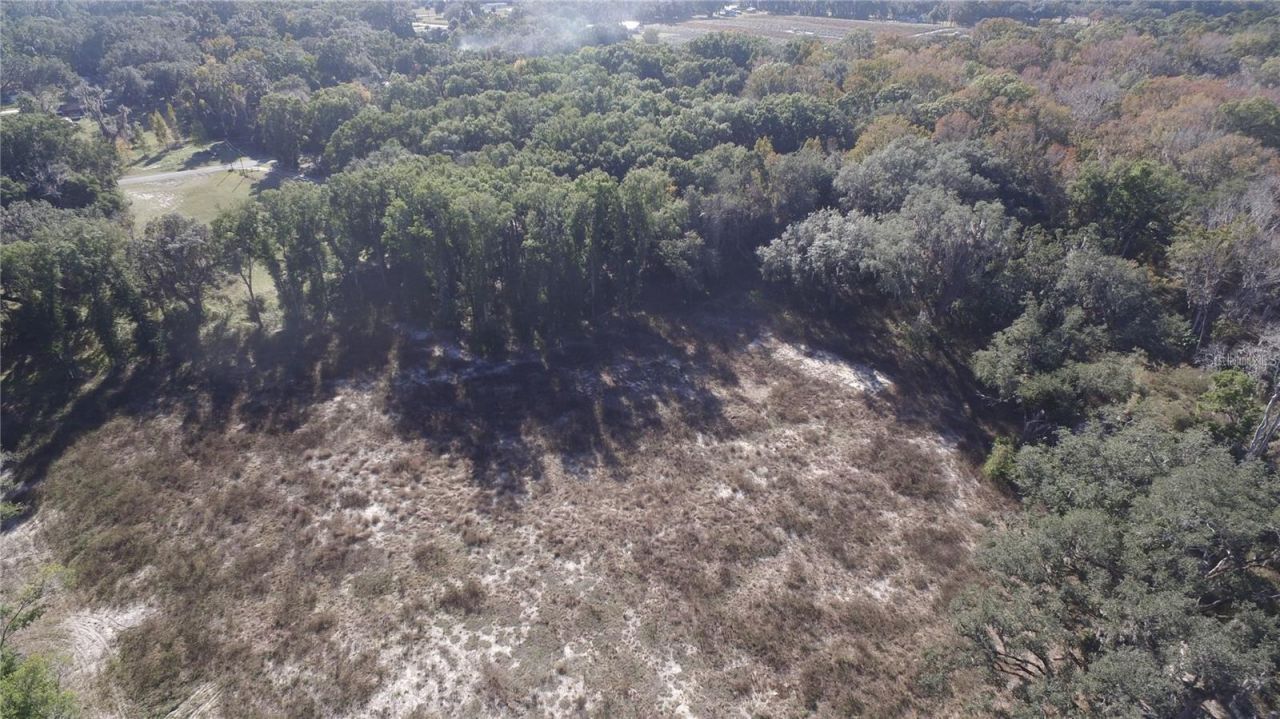 Us Hwy 301-12 Acres , Citra, FL 32113 Photo