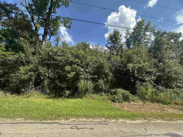 lot 23-A Gunboat Island Cir, Maurepas, LA 70449
