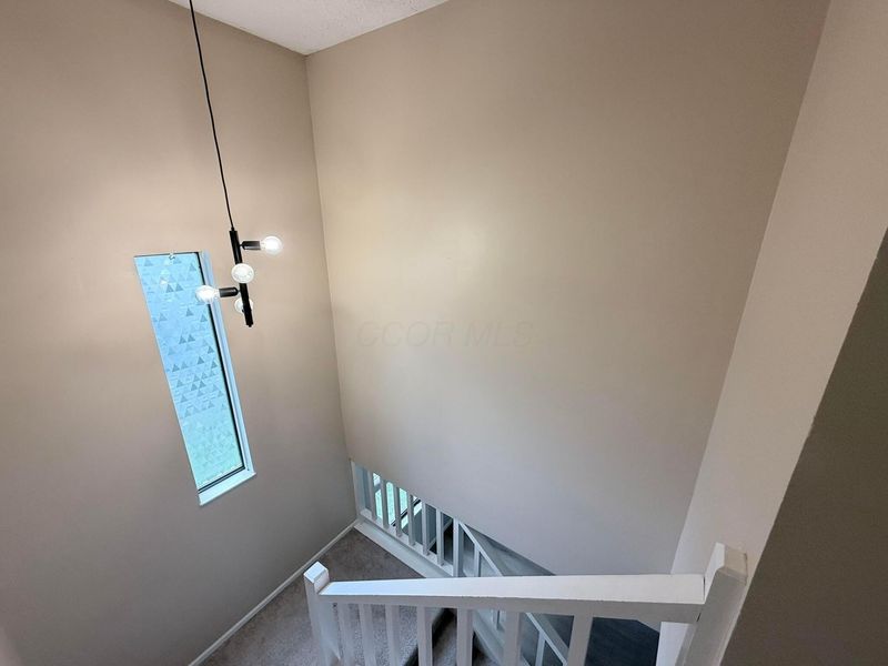 4849 Herndon Drive, Columbus, OH 43221 Photo 18