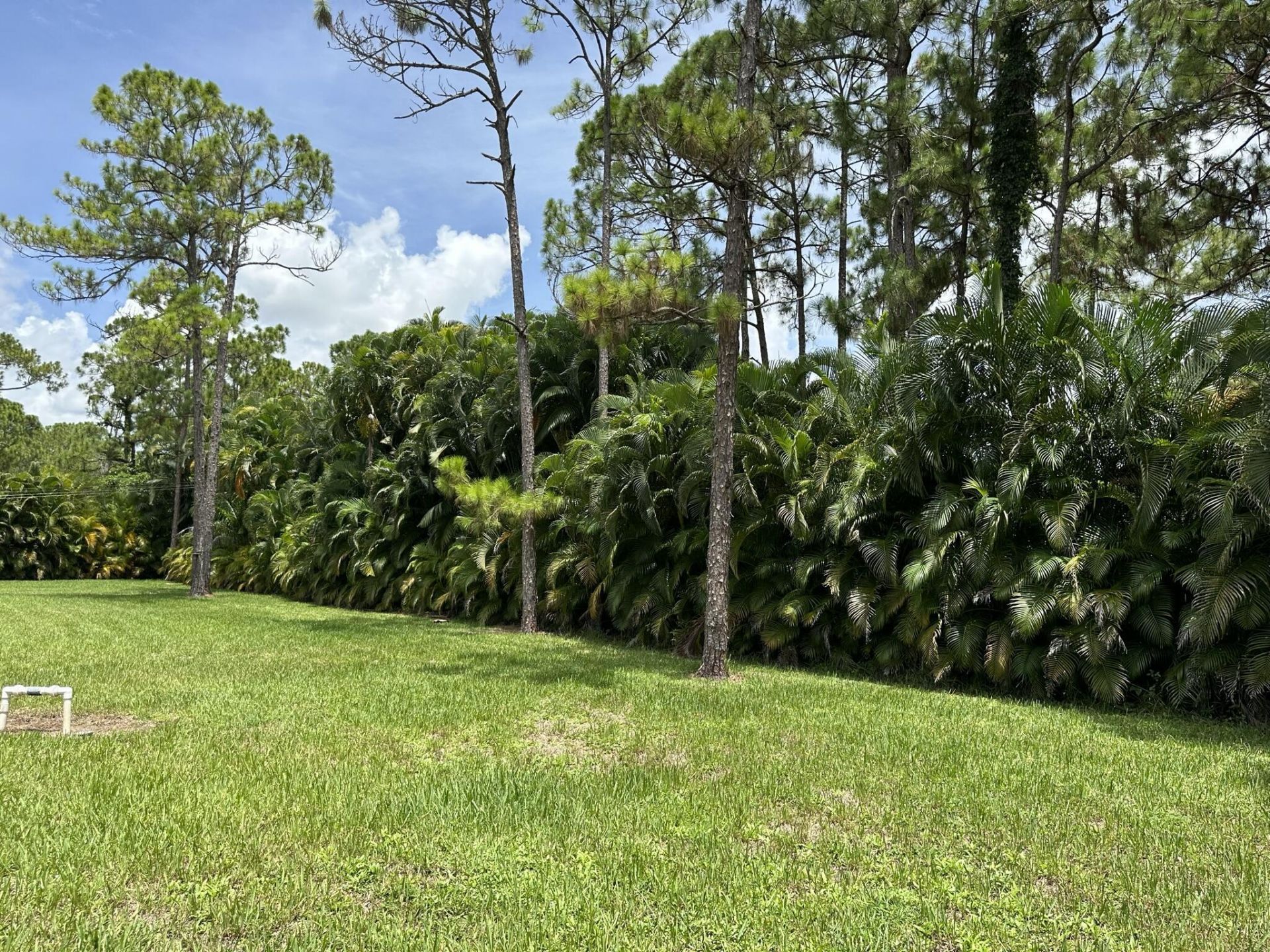 16193 72nd Road N, Loxahatchee, FL 33470 Photo