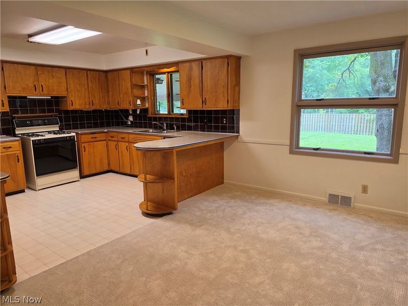 1459 Stepney, Niles, OH 44446 Photo 5