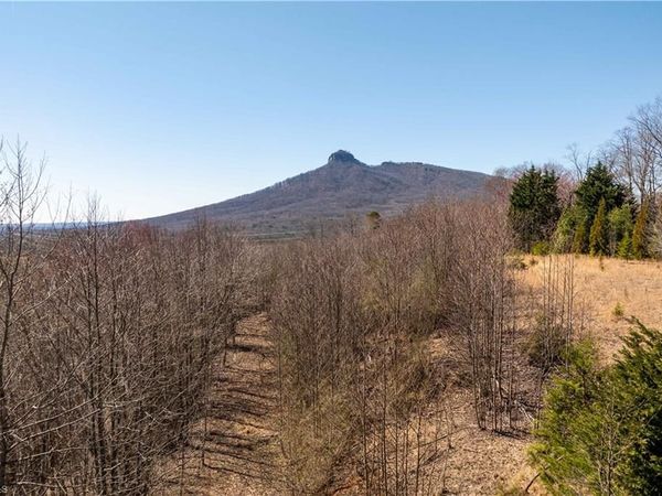 222 Hummingbird Lane , Pilot Mountain, NC 27041