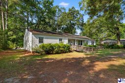 411 E Leitner St. photo 4