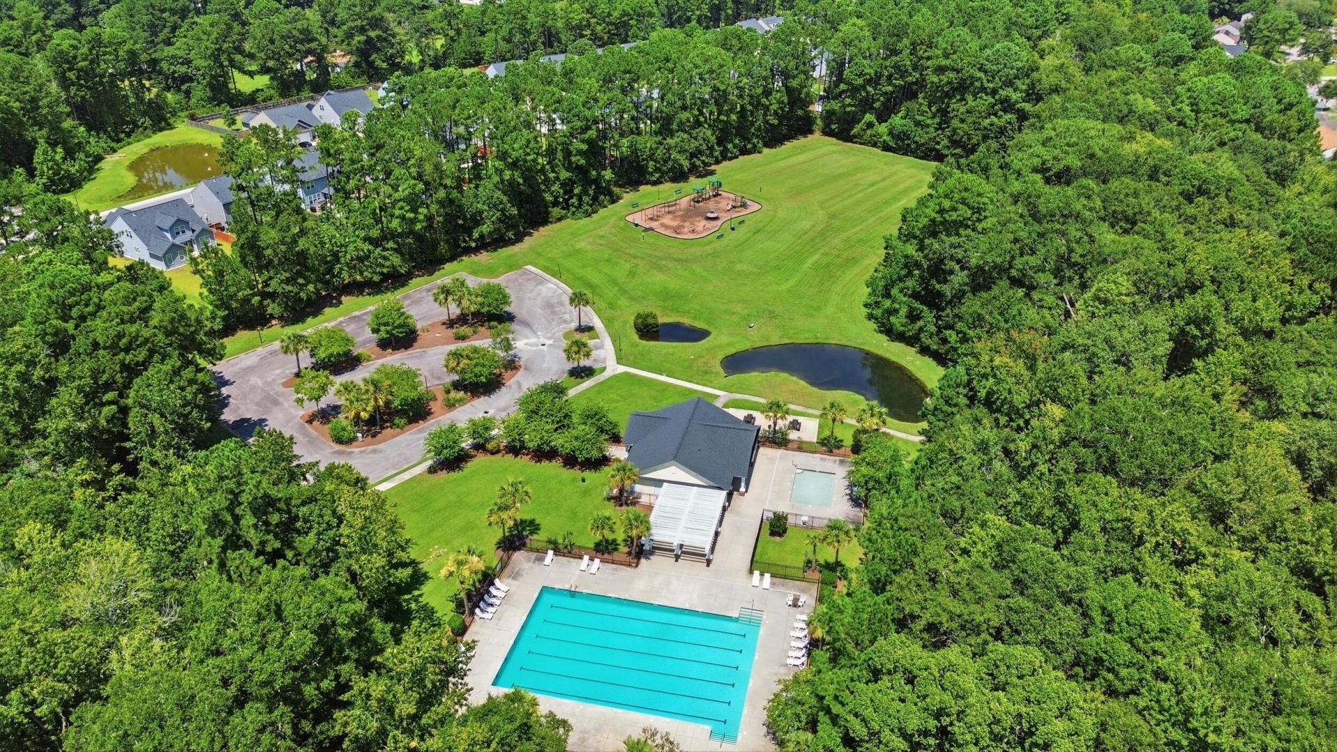 233 Towering Pine Drive Photo 43