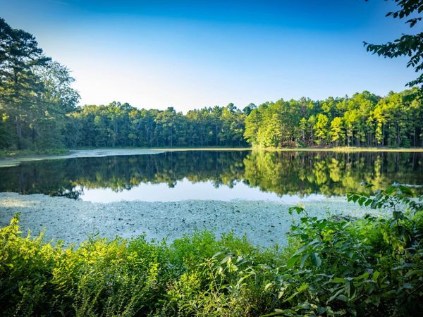 37118 Kanis Road , Paron, AR 72122