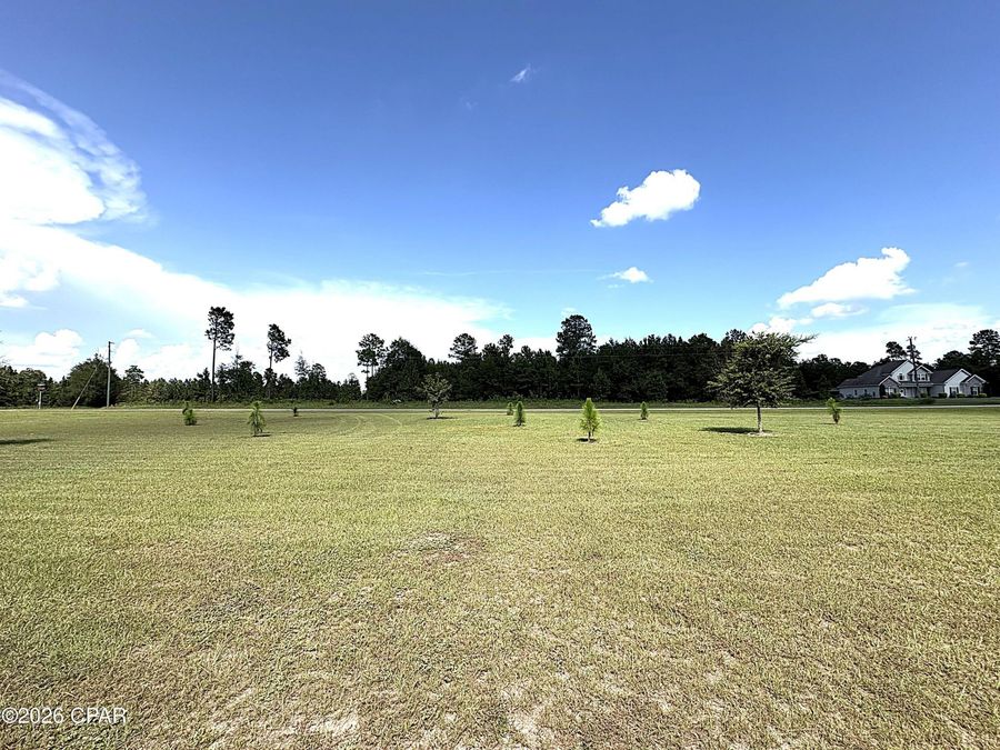 Property Image 74