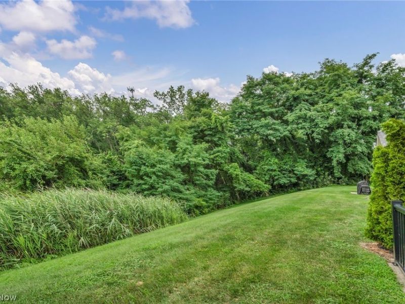 309 Lake Breeze Cove, Eastlake, OH 44095 Photo 48