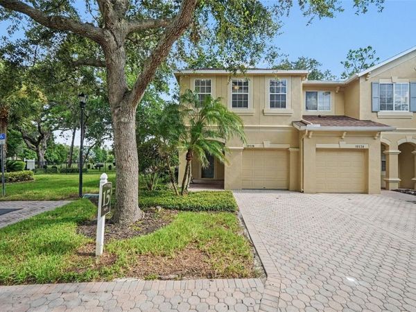 10536 SHADY FALLS COURT , RIVERVIEW, FL 33578