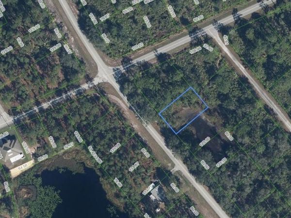 615 Wildflower Street , Lake Placid, FL 33852