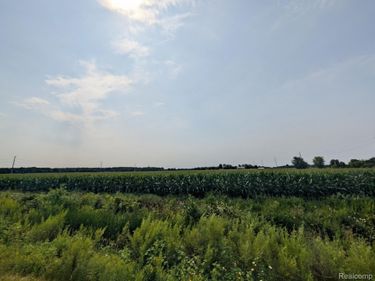 0 Brown Road, Greenwood Township, Mi 48006