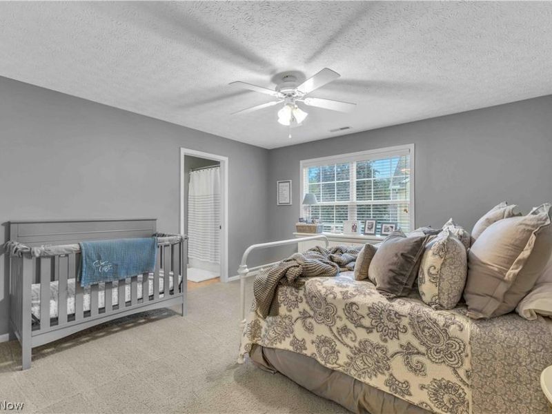 361 Harbor Court, Avon Lake, OH 44012 Photo 31