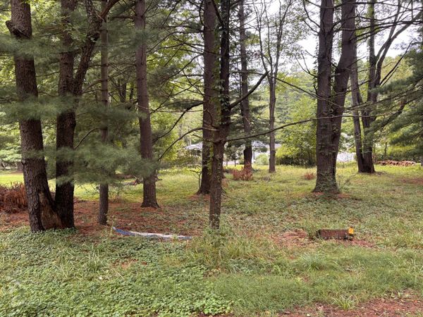 V/L Spruce Street, Sawyer, MI 49125
