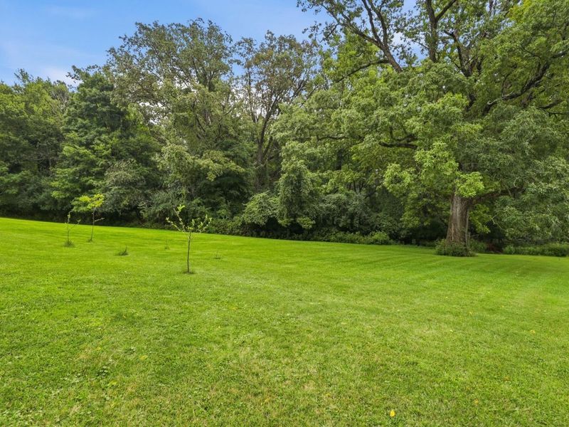 415 E Home Road, Springfield, OH 45503 Photo 69