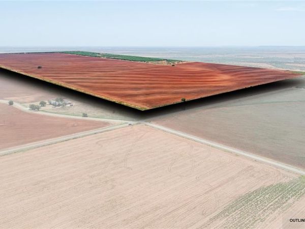 777 Noodle Dome, Trent, TX 79561