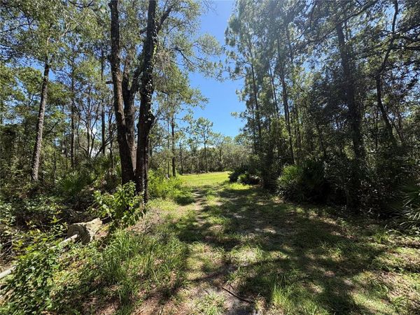 394 N FLORENE POINT , CRYSTAL RIVER, FL 34429