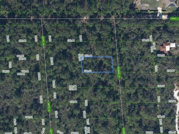 722 Ronnie Lane , Lake Placid, FL 33852