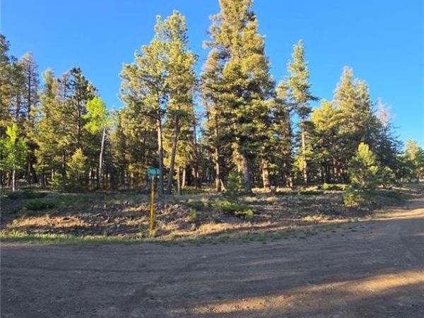 Chubb Court, Buena Vista, CO 81211