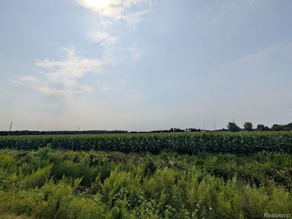 0 Brown Rd. Road, Greenwood Township, Mi 48006