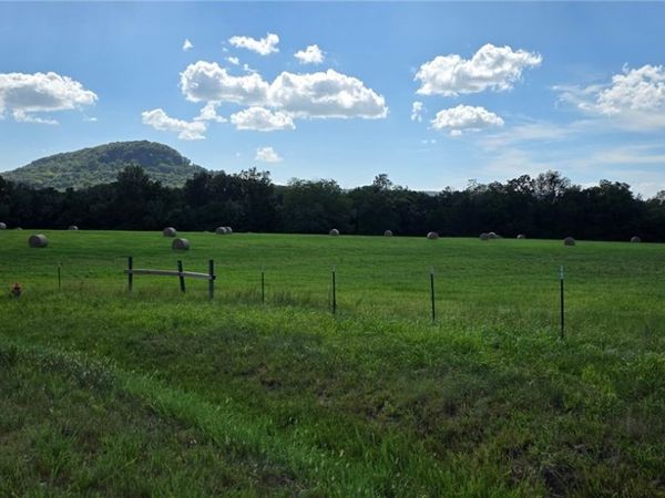 Starlite Drive , Harrison, AR 72601