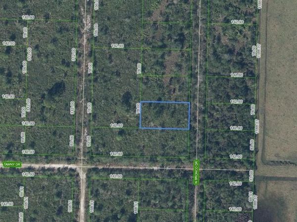 709 N Bronco Dr. , Lorida, FL 33857