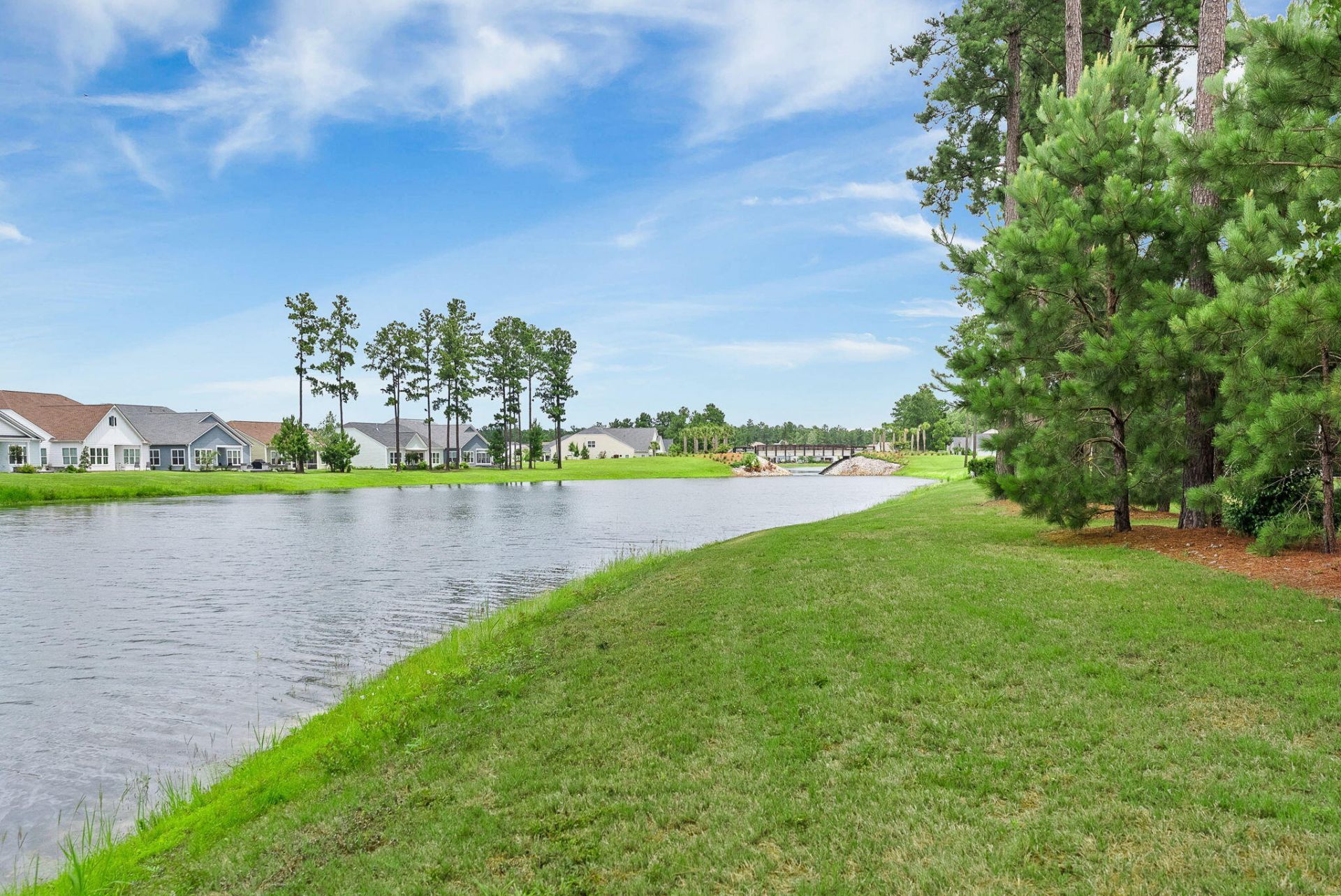 253 Tupelo Lake Drive Photo 53