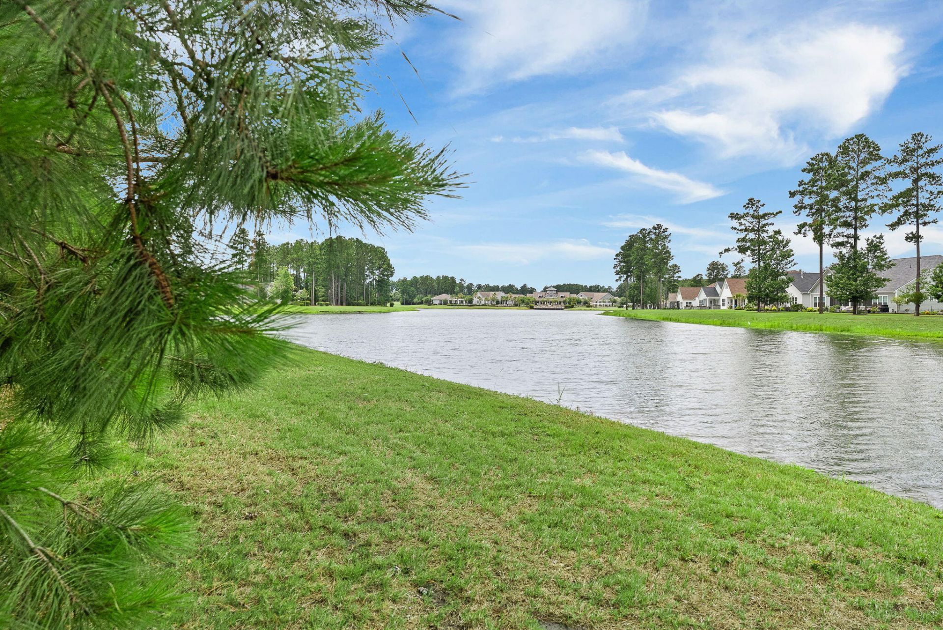 253 Tupelo Lake Drive Photo 8