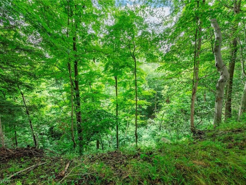 15038 Alexander Road, Walton Hills, OH 44146 Photo 14