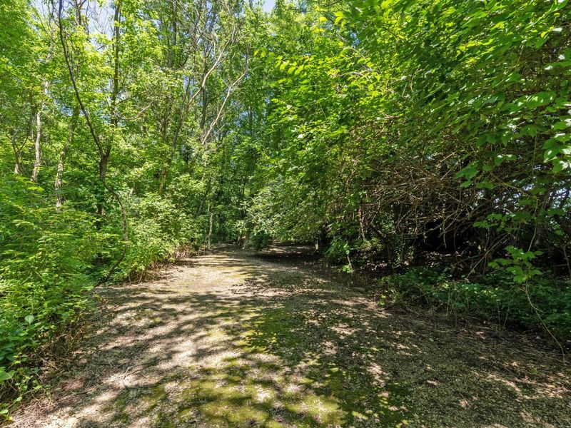 8 E 3rd Avenue, Mount Sterling, OH 43143 Photo 92