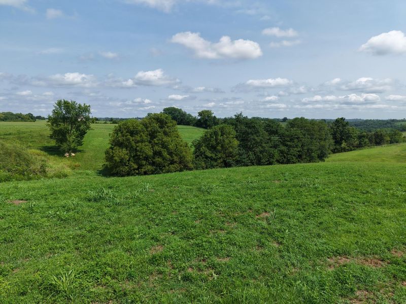 0 Kentucky 159, Falmouth, KY 41040 Photo 12