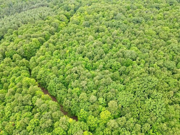 Lot 1 CRANE FOOT LAKE ROAD, Gleason, WI 54435