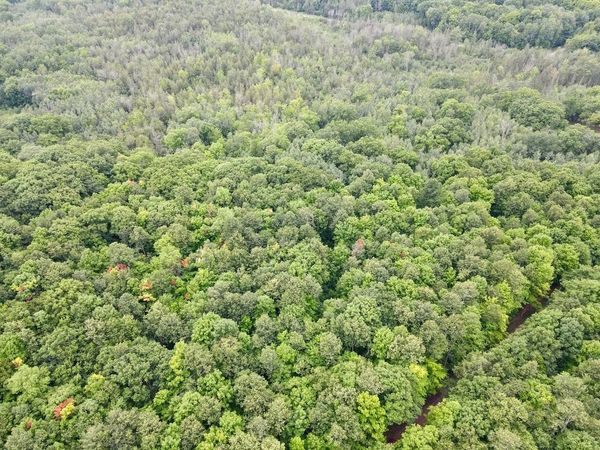 Lot 2 CRANE FOOT LAKE ROAD, Gleason, WI 54435