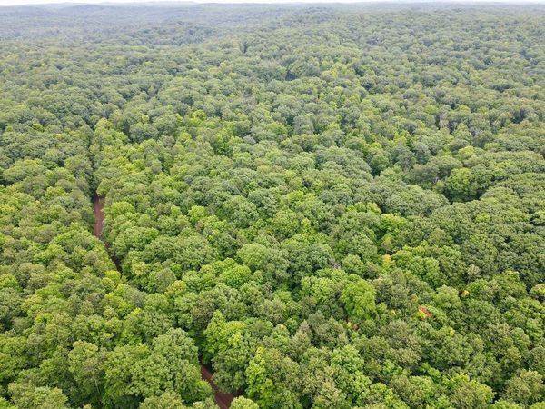 Lot 3 CRANE FOOT LAKE ROAD, Gleason, WI 54435