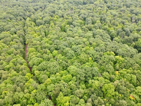 Lot 4 CRANE FOOT LAKE ROAD, Gleason, WI 54435