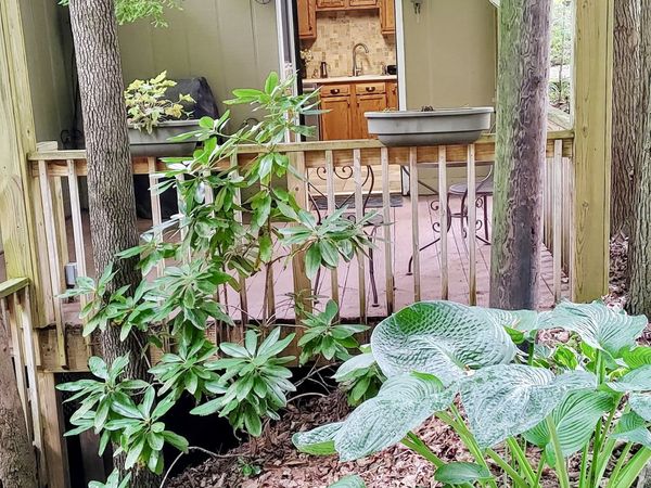 2841 River Rd , Tellico Plains, TN 37385