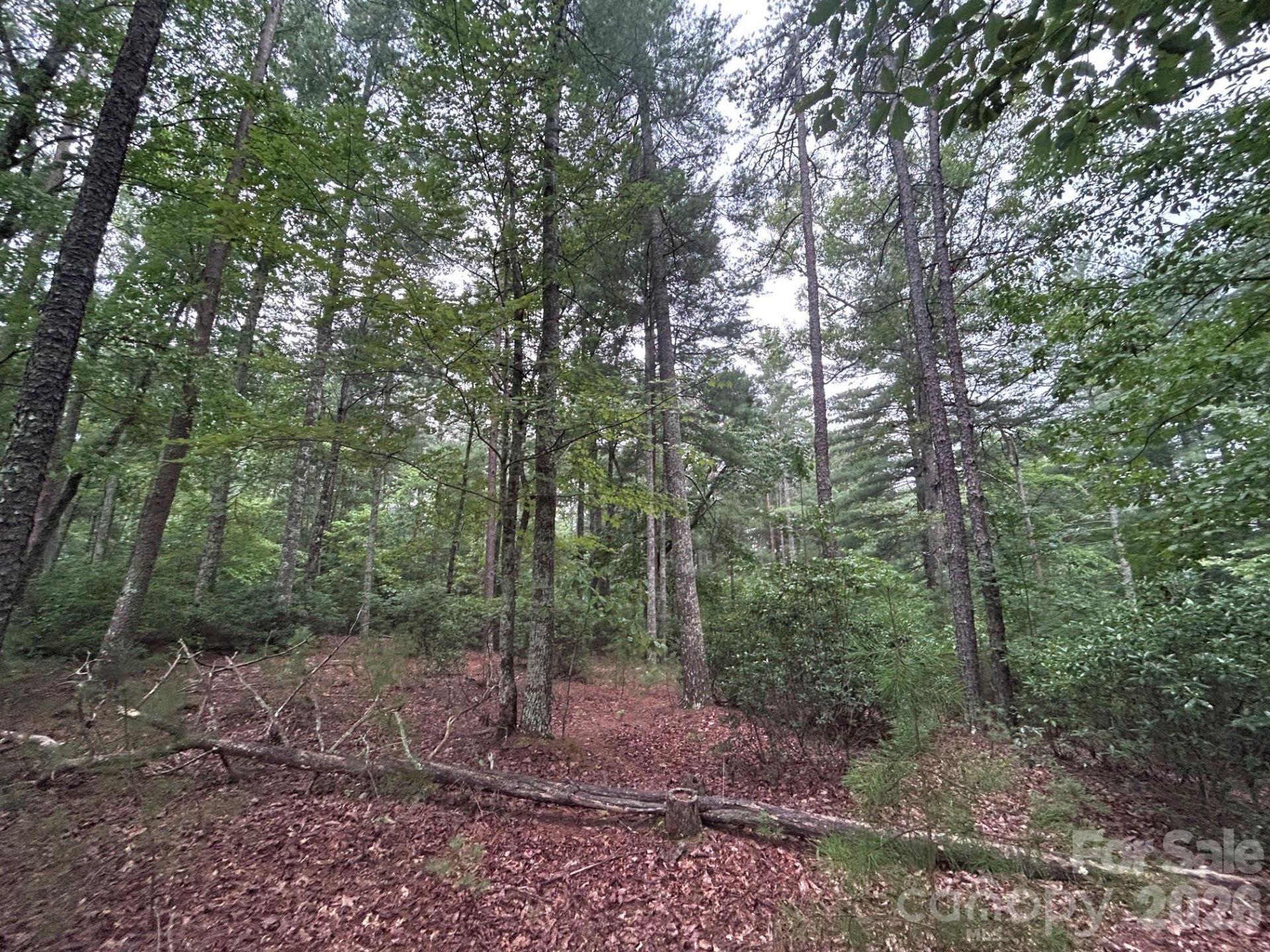 59 Captains Drive, Nebo, NC 28761 Main Photo