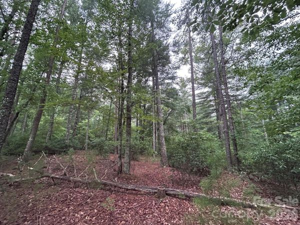 59 Captains Drive, Nebo, NC 28761