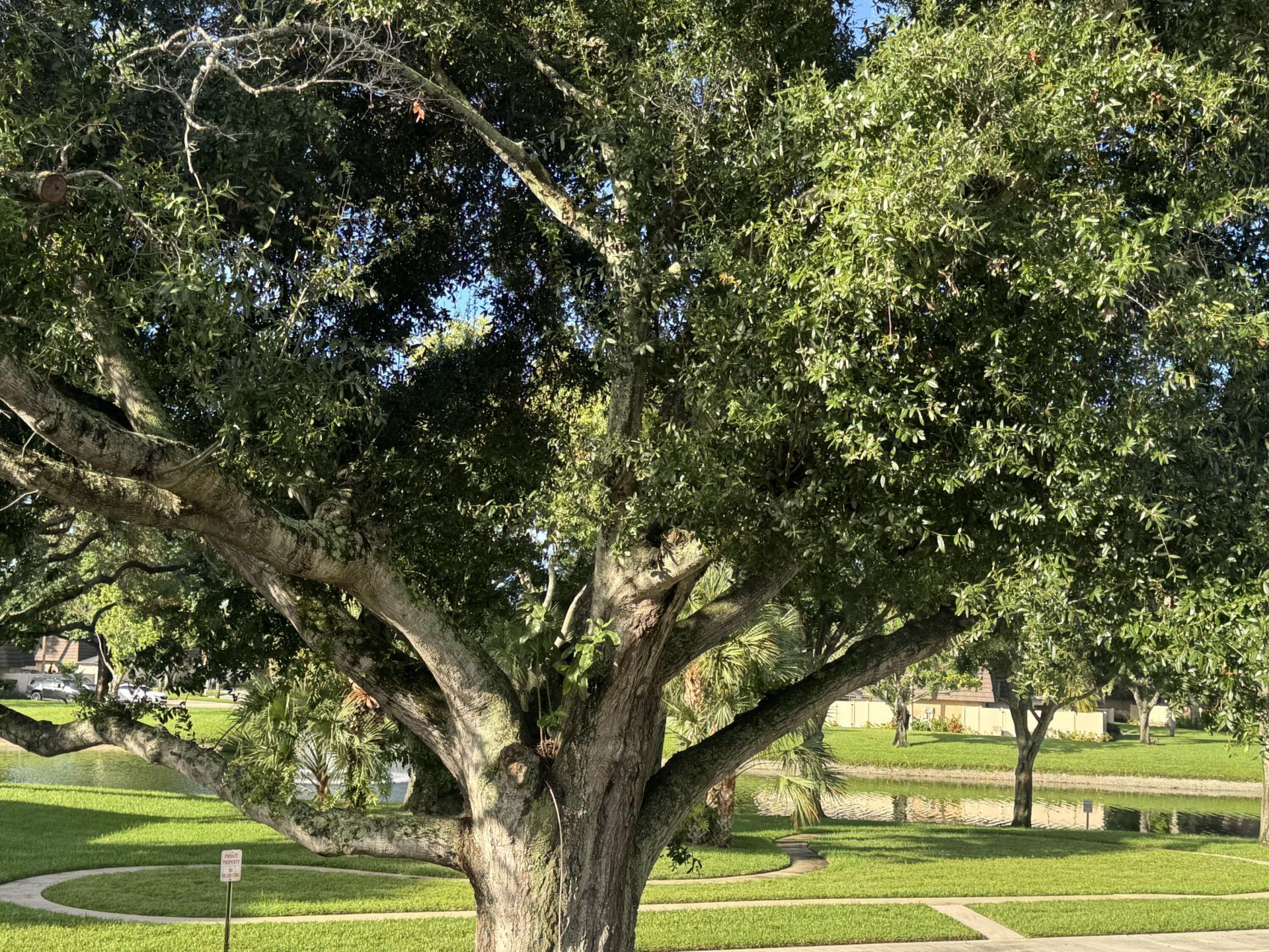 7224 72nd Way, West Palm Beach, FL 33407 Photo