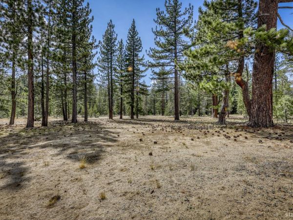 2520 Blitzen Road, South Lake Tahoe, CA 96150