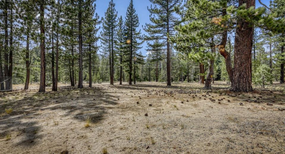 2520 Blitzen Road, South Lake Tahoe, CA 96150 Photo