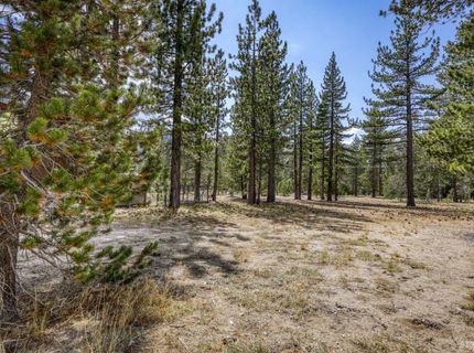2520 Blitzen Road, South Lake Tahoe, CA 96150 Photo
