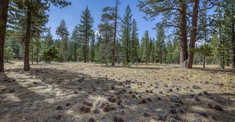 2520 Blitzen Road, South Lake Tahoe, CA 96150 Photo