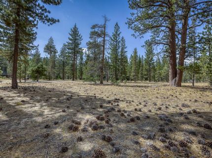 2520 Blitzen Road, South Lake Tahoe, CA 96150 Photo