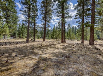 2520 Blitzen Road, South Lake Tahoe, CA 96150 Photo