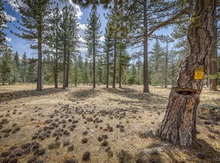 2520 Blitzen Road, South Lake Tahoe, CA 96150 Photo