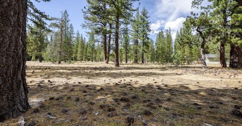 2520 Blitzen Road, South Lake Tahoe, CA 96150 Photo